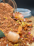 Wombfire-Sacral Chakra Bath Salts• Flow